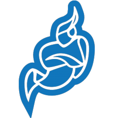 Jitsi Meet Logo